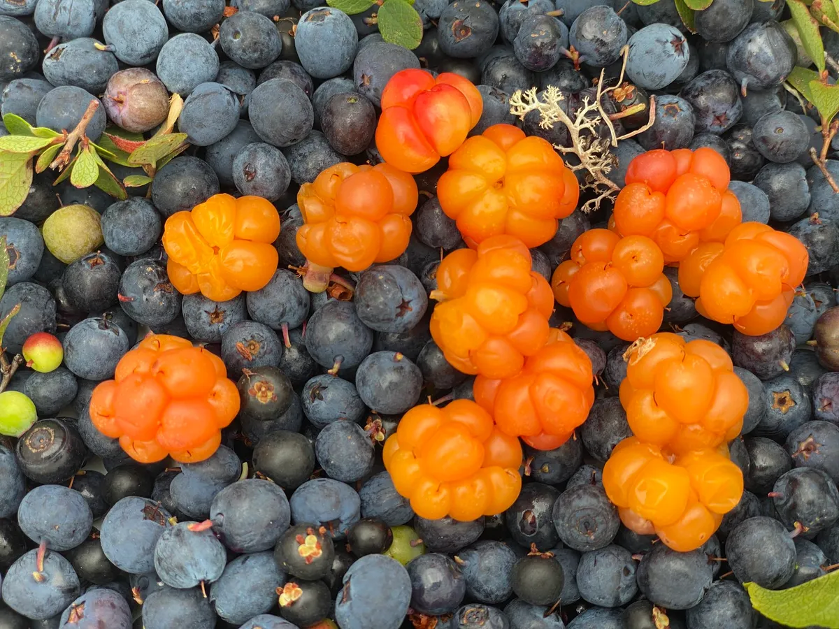 Seeds Your Customers Will Love